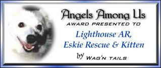 angel-lar.jpg - 13023 Bytes