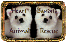 Heart Bandits