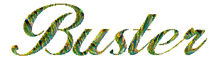 bustertitle.gif - 4603 Bytes