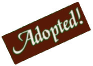 Adopted