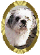 samind.gif - 2909 Bytes