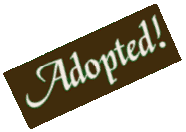 Adopted