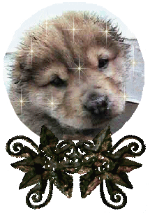snwglb.gif - 38552 Bytes