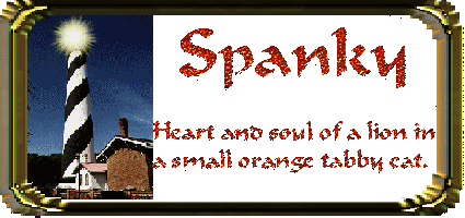 specspanky.gif - 26634 Bytes