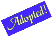 yogiadopt.gif - 5148 Bytes